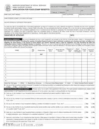 Fill in a Valid Food Stamps Missouri Form