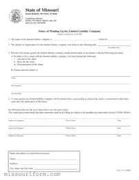 Fill in a Valid Llc 13 Missouri Form
