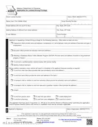 Fill in a Valid Missouri 4595 Form