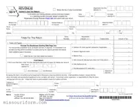 Fill in a Valid Missouri 53 V Form