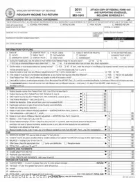 Fill in a Valid Mo 1041 Form