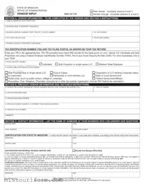 Fill in a Valid Mo 300 1489 Form